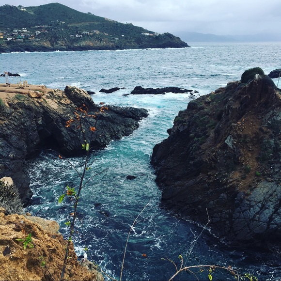 Meet your Posher, Anita - Picture 1 of 1